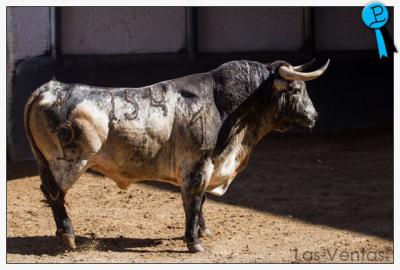 Sorteados los toros de Alcurrucén en Madrid